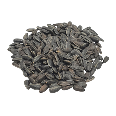 Graines de tournesol à germer bio 160g Graines de tournesol à germer bio 160g