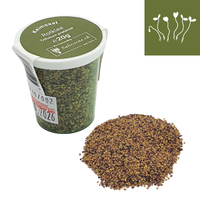 Trèfle rouge graines à germer bio 20g Trèfle rouge graines à germer bio 20g