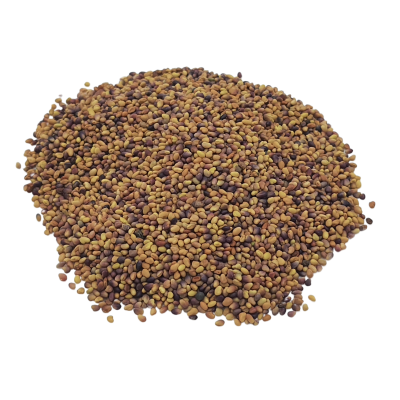 Trèfle rouge graines à germer bio 20g Trèfle rouge graines à germer bio 20g