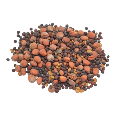 Detox Mix graines à germer bio 200g