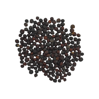Raps Keimsaat Bio 180g