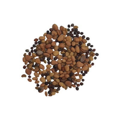 Starter Mix graines à germer bio 220g