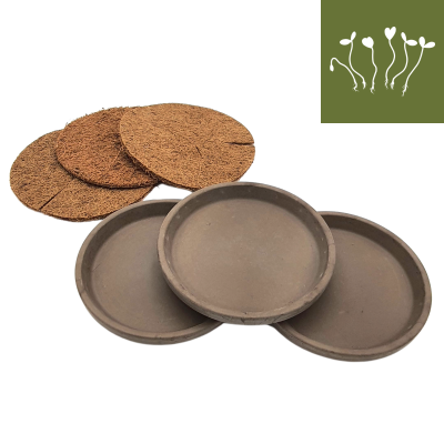 Cultivation set clay saucer grey-brown with germination mats 3x