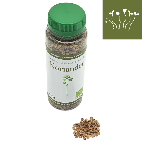 Coriander sprouting seed organic 70g