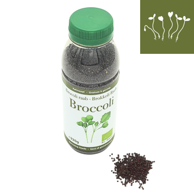 Organic broccoli raab sprout seeds 220g