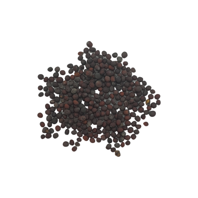 Organic broccoli raab sprout seeds 220g